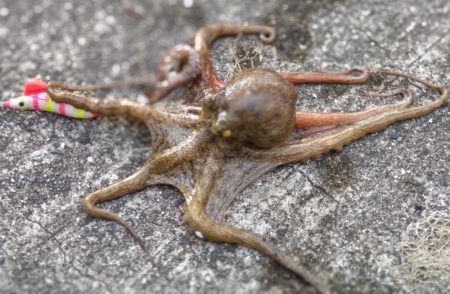 予定変更の姫路行き